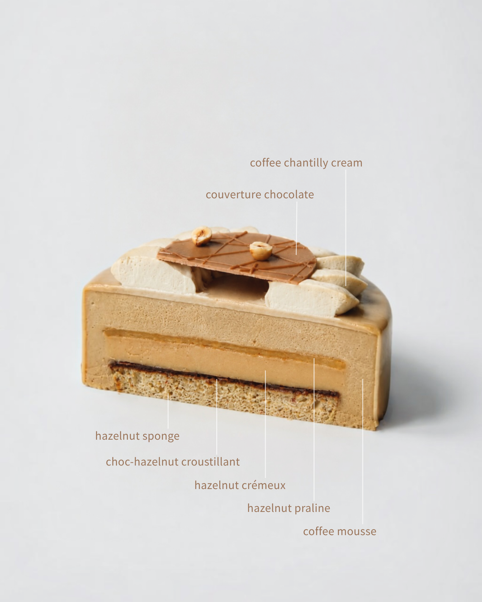 Coffee Hazelnut Cake